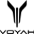 Voyah_black_Vertical